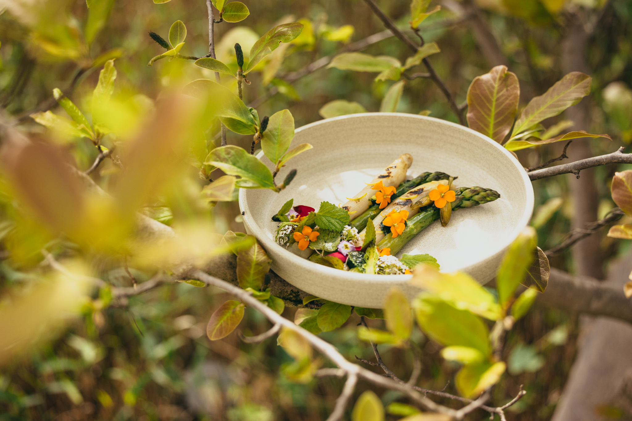 Restaurant_Woods_Geneve_3