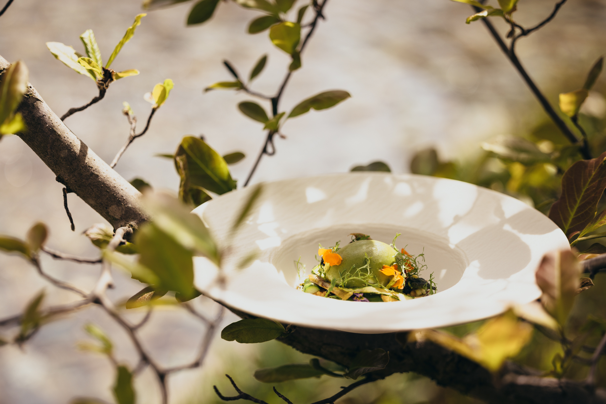Restaurant_Woods_Geneve_4