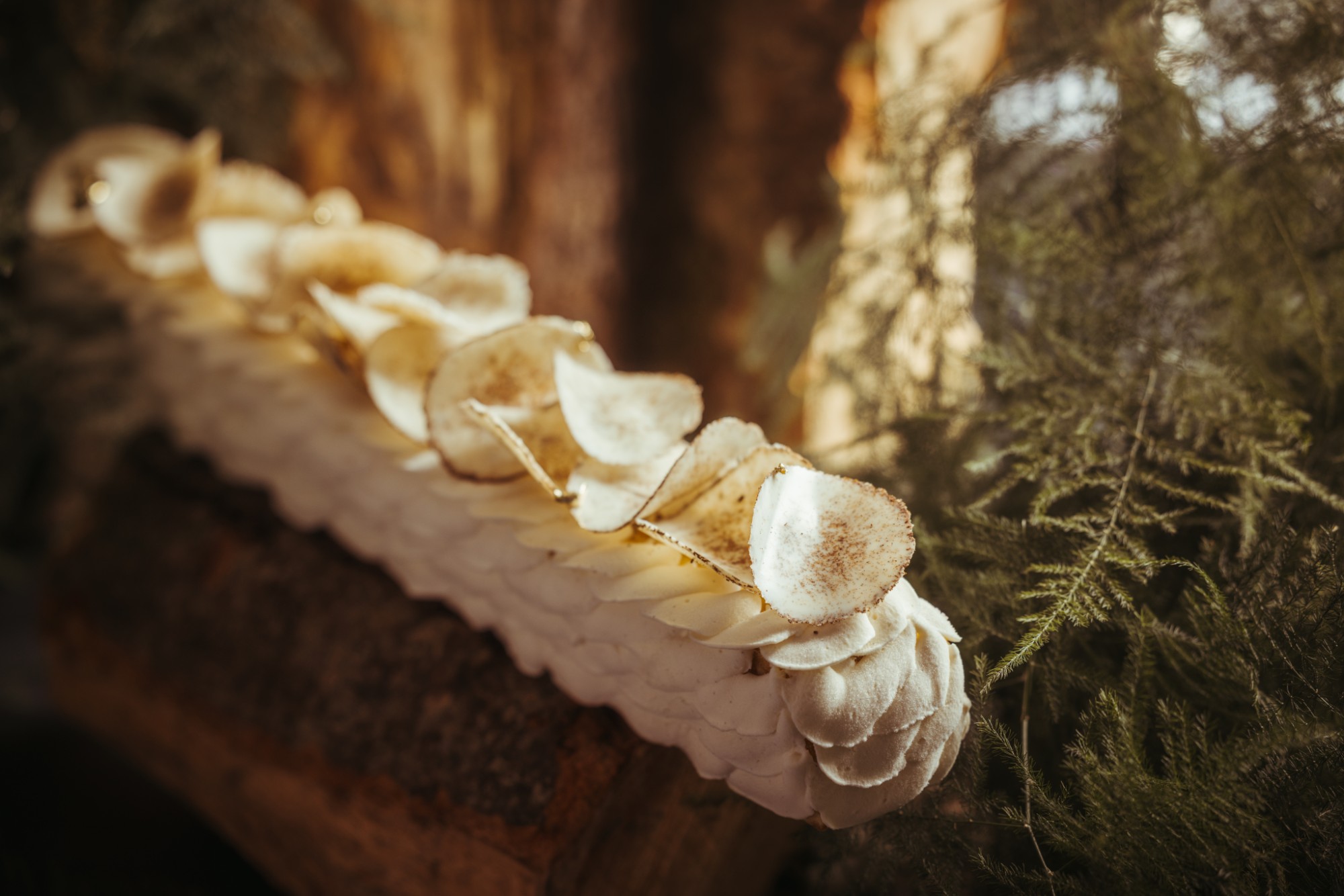 Buche-InterContinental-2025-6