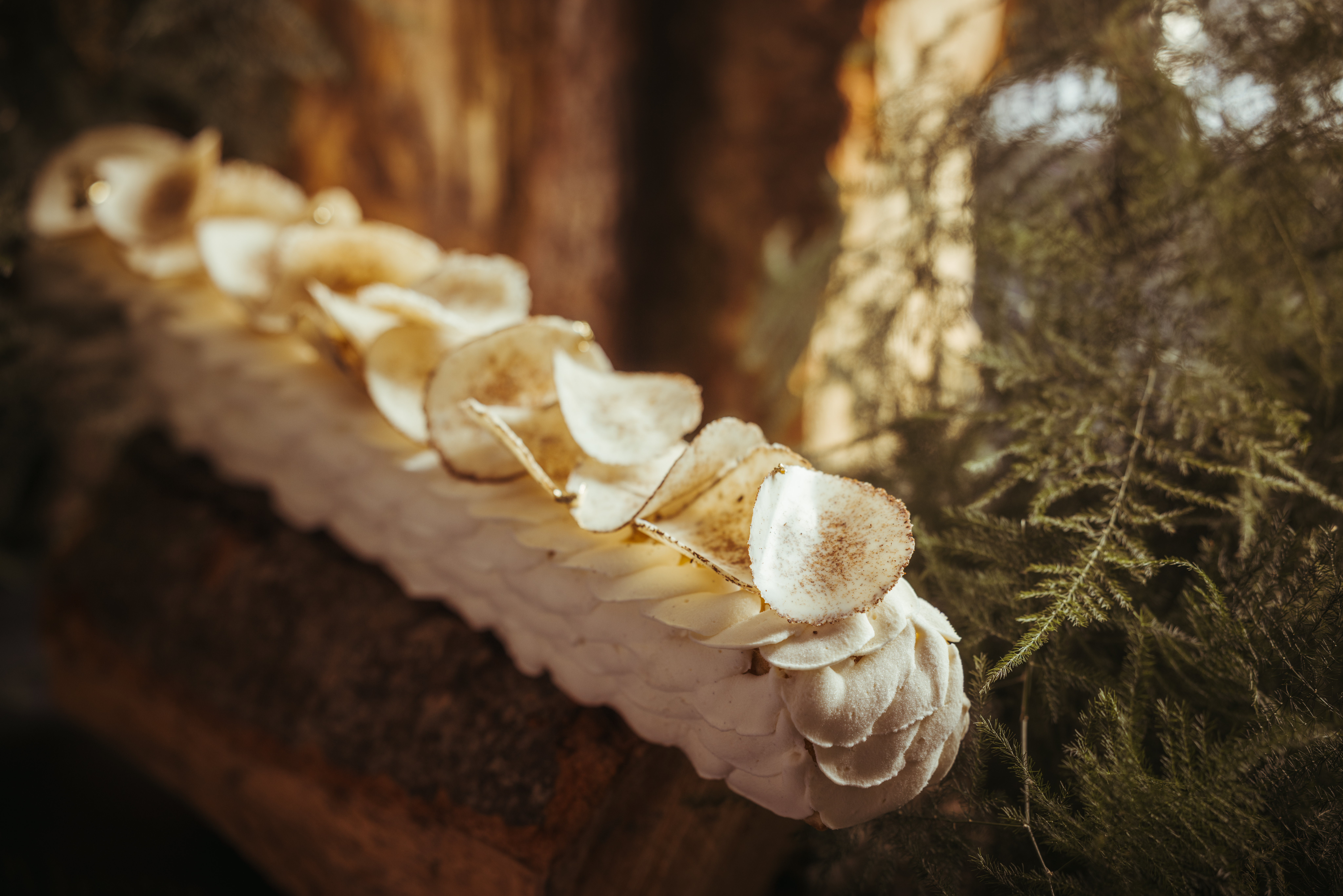 Buche InterContinental 2025 (6)