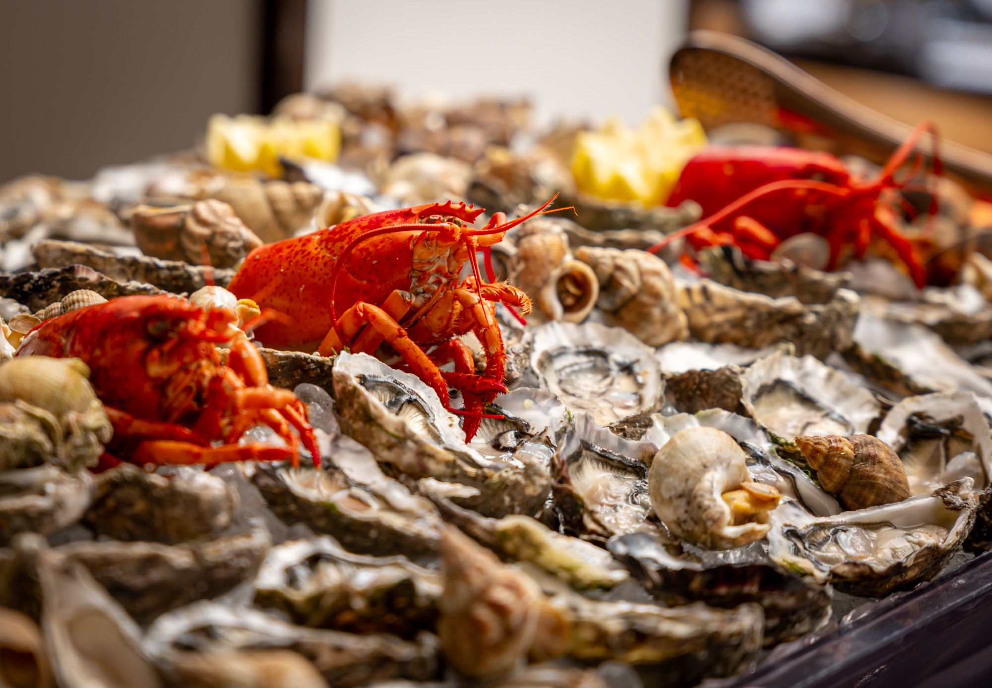 InterContinental Geneve - Brunch de nouvel an 2026